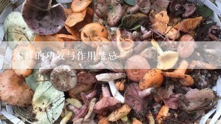 木耳的功效与作用禁忌