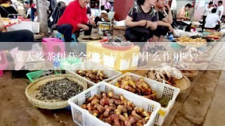 夏天吃茶树菇会怎么样？有什么作用吗？