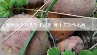 茶树菇要煮多久才会熟 鲜干煮法各不同