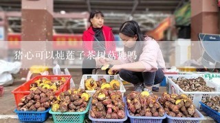 猪心可以炖莲子茶树菇炖吗