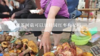 乌鸡煲茶树菇可以放桂园红枣枸杞吗