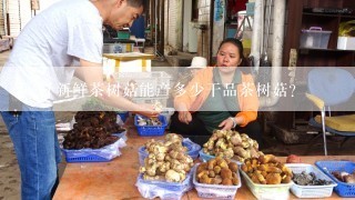 一斤新鲜茶树菇能产多少干品茶树菇？