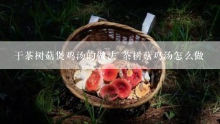 干茶树菇煲鸡汤的做法 茶树菇鸡汤怎么做