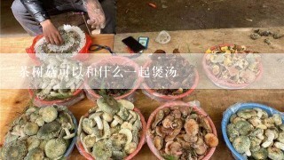 茶树菇可以和什么一起煲汤