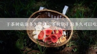 干茶树菇泡多久能吃，茶树菇干泡多久可以吃？