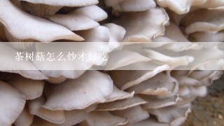 茶树菇怎么炒才好吃