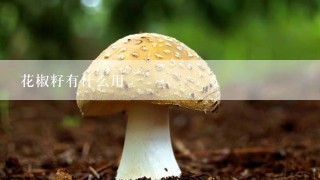 花椒籽有什么用