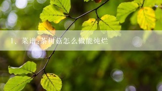 菜谱:茶树菇怎么做能炖烂