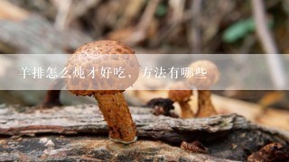 羊排怎么炖才好吃，方法有哪些