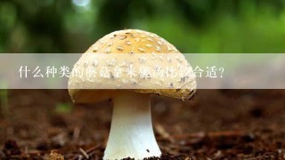 什么种类的蘑菇拿来煲汤比较合适？