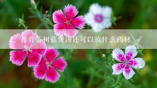 排骨茶树菇煲汤还可以放什么药材