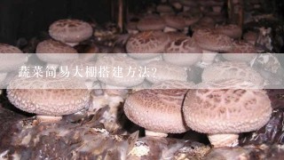 蔬菜简易大棚搭建方法？