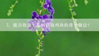 能否指点下茶树菇烧鸡块的常见做法？