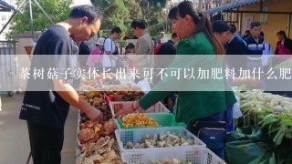 茶树菇子实体长出来可不可以加肥料加什么肥料