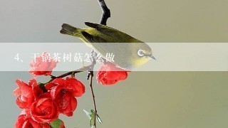 干锅茶树菇怎么做