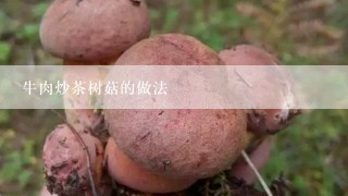 牛肉炒茶树菇的做法