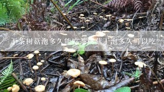 干茶树菇泡多久能吃茶树菇干泡多久可以吃？