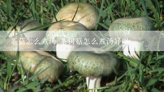 茶菇怎么煮汤 茶树菇怎么煮汤好喝