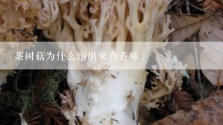 茶树菇为什么泡出来有香味