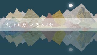 石斛分几种怎么区分