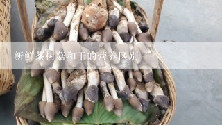 新鲜茶树菇和干的营养区别