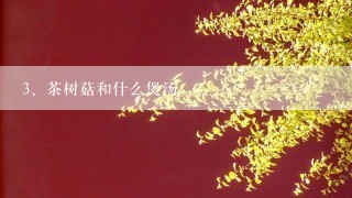 茶树菇和什么煲汤