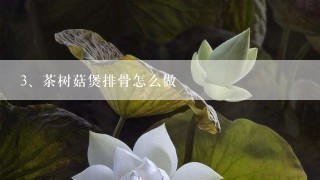 茶树菇煲排骨怎么做