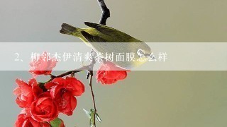 柳邻杰伊清爽茶树面膜怎么样