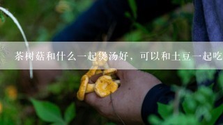 茶树菇和什么一起煲汤好，可以和土豆一起吃吗？