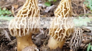 茶树菇煲汤怎样去除那阵菇味？求大神帮助