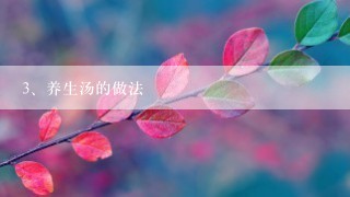 养生汤的做法