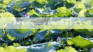 茶树菇炖鸡——平肝明目健脾养胃