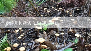 新鲜茶树菇烧肉多长时间烧烂？