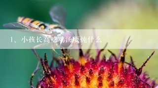 小孩长高吃鸡汤要炖什么