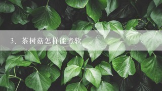 茶树菇怎样能煮软