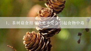 茶树菇食用不当是不是会引起食物中毒