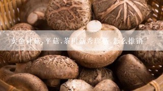 卖金针菇,平菇,茶树菇秀珍菇,怎么推销