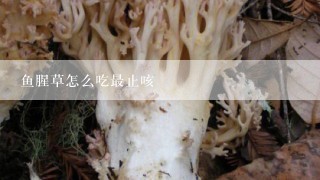 鱼腥草怎么吃最止咳