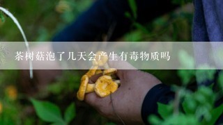 茶树菇泡了几天会产生有毒物质吗