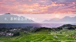 茶树菇怎样煲汤?