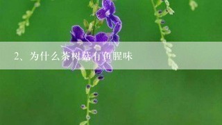 为什么茶树菇有鱼腥味