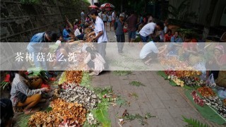 茶树菇怎么洗