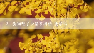 狗狗吃了少量茶树菇 要紧吗