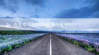 鸡骨草与什么搭配煲汤最好？