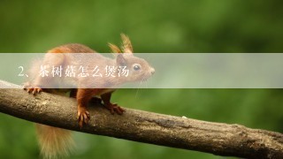 茶树菇怎么煲汤