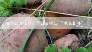 夏季饮食保健：草菇茶树菇 “菇菇相补”