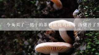 今天买了一把干的茶树菇炖鸡汤喝 汤烧开了发现浮在表面很多黑色的小