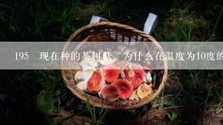 195 现在种的茶树菇，为什么在温度为10度的环境下都死了？？？