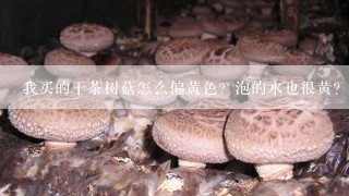 我买的干茶树菇怎么偏黄色？泡的水也很黄？怎么回事？怎么做才好吃好？