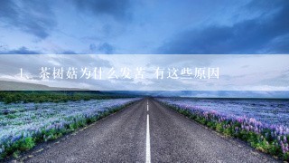 茶树菇为什么发苦 有这些原因